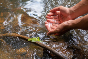 drinking mineral-rich spring water for hydration for beautiful skin and cellular hydration